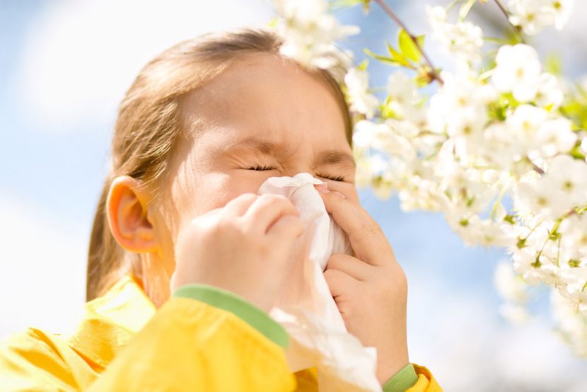 Hooikoorts: hoe hou je de pollen buiten?