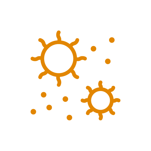 H1N1 virus