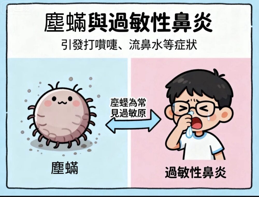 塵蟎與過敏性鼻炎的診斷與防治