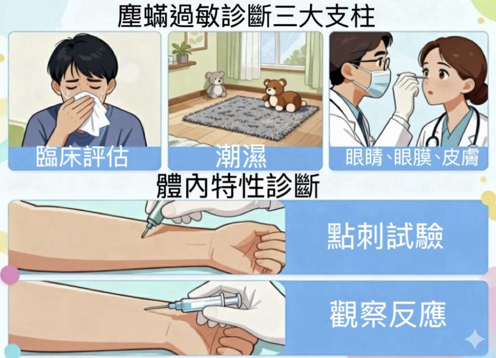 塵蟎過敏診斷完整指南:臨床評估與檢測方法